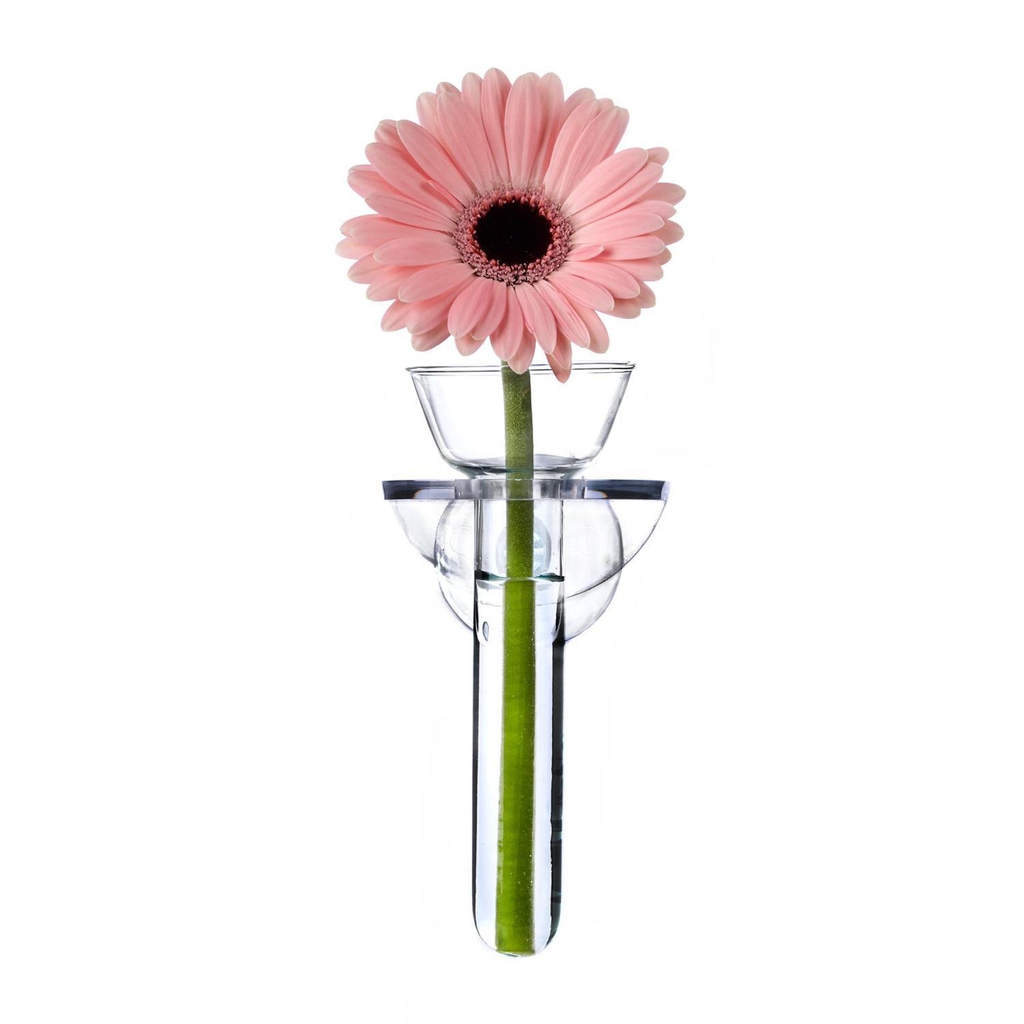 Wall Flower Vase