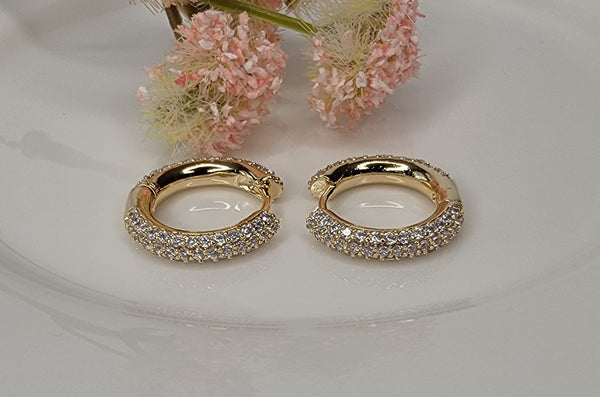 HA79 Earrings