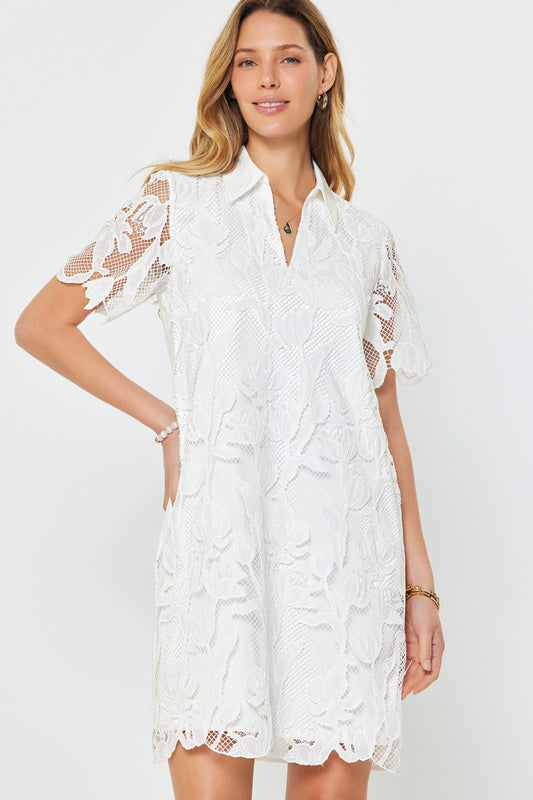 Lace Overlay Shirt Collar