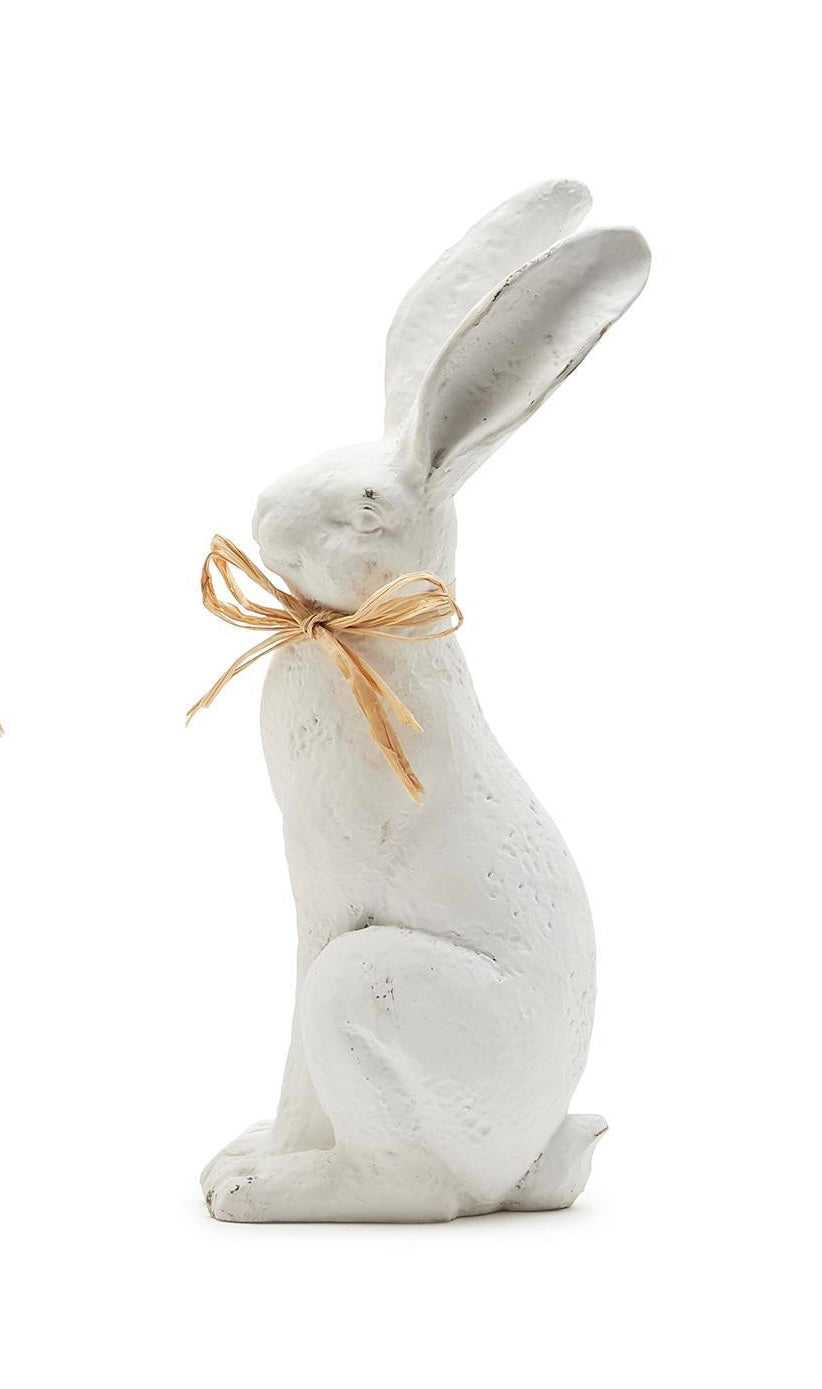 Hare Comes Easter Rabbit