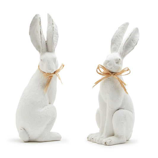 Hare Comes Easter Rabbit