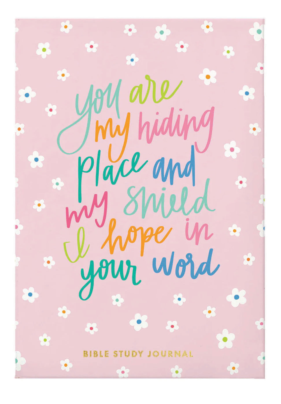 Bible Study Journal