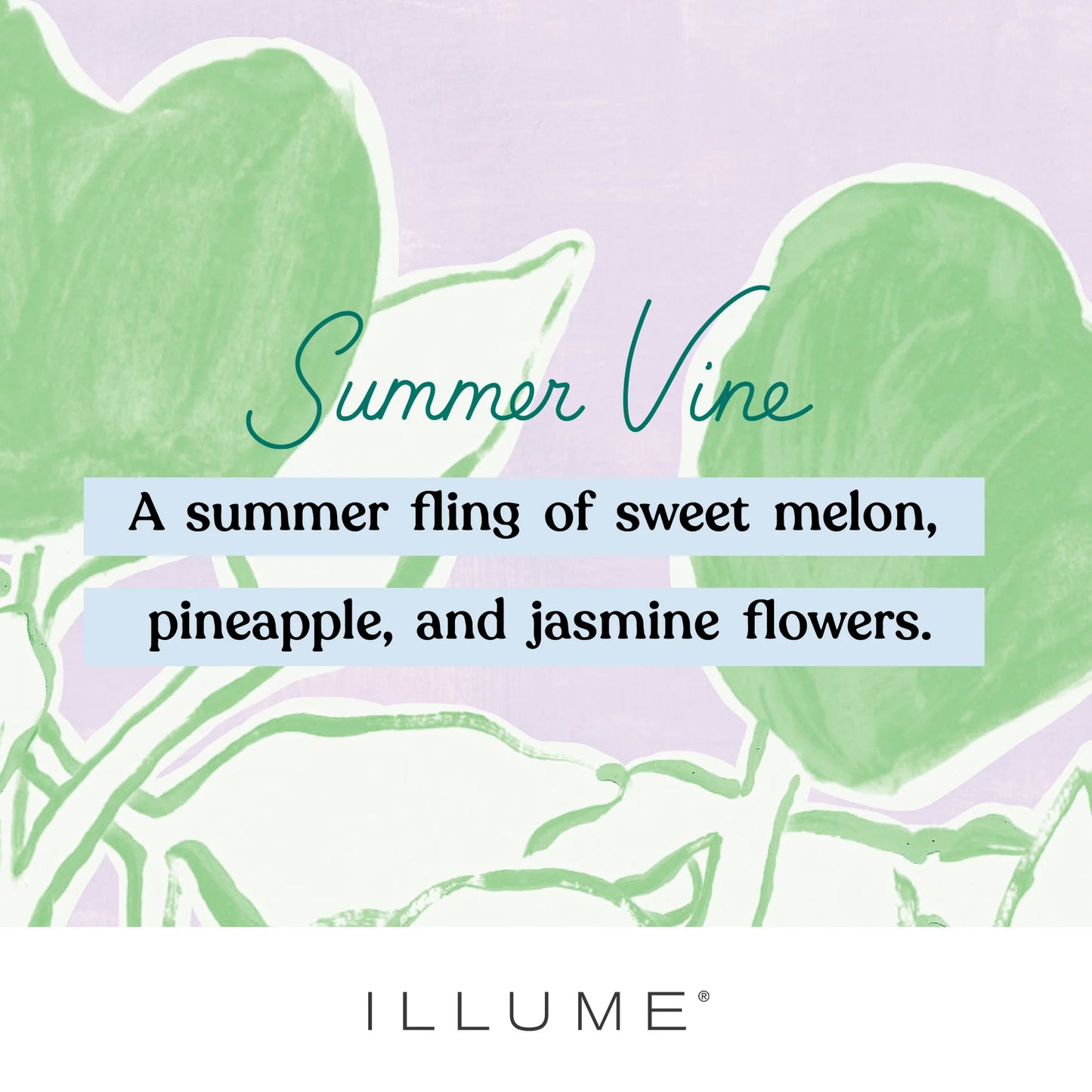 Summer Vine Diffuser