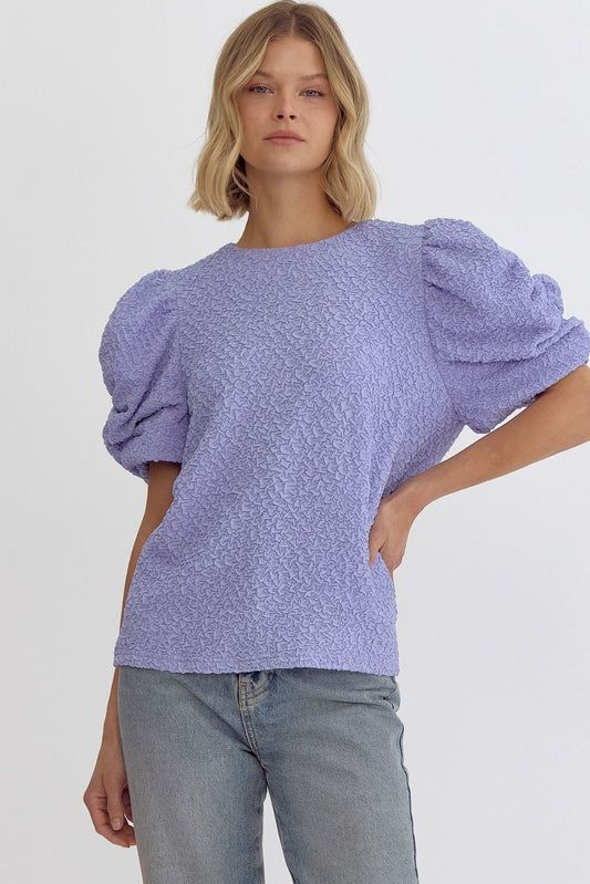 Textured Ruched Sleeve Top