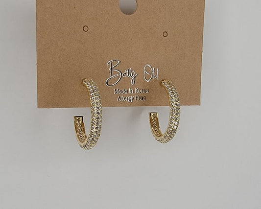 NA14 Earrings