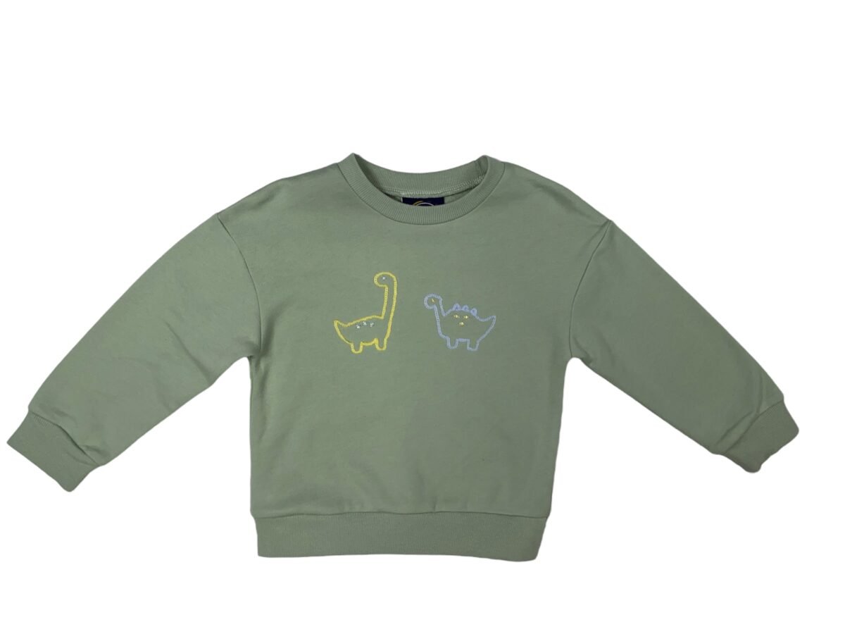 Dinosaur Embroidery Sweatshirt