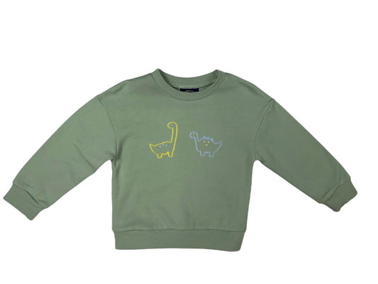 Dinosaur Embroidery Sweatshirt