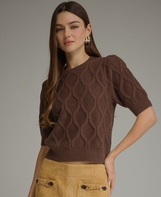 Brown Short Sleeve Sweater